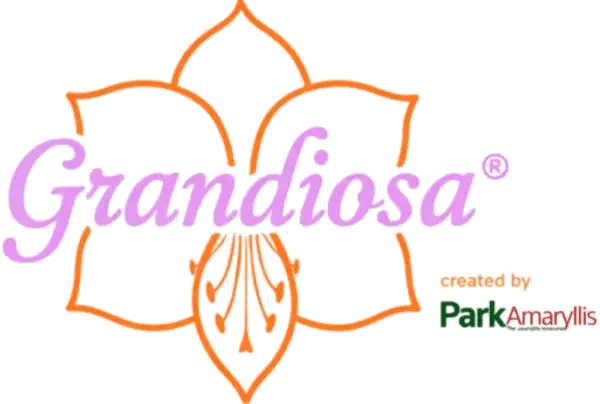 Grandiosa® — snijbloemenconcept van Park Amaryllis