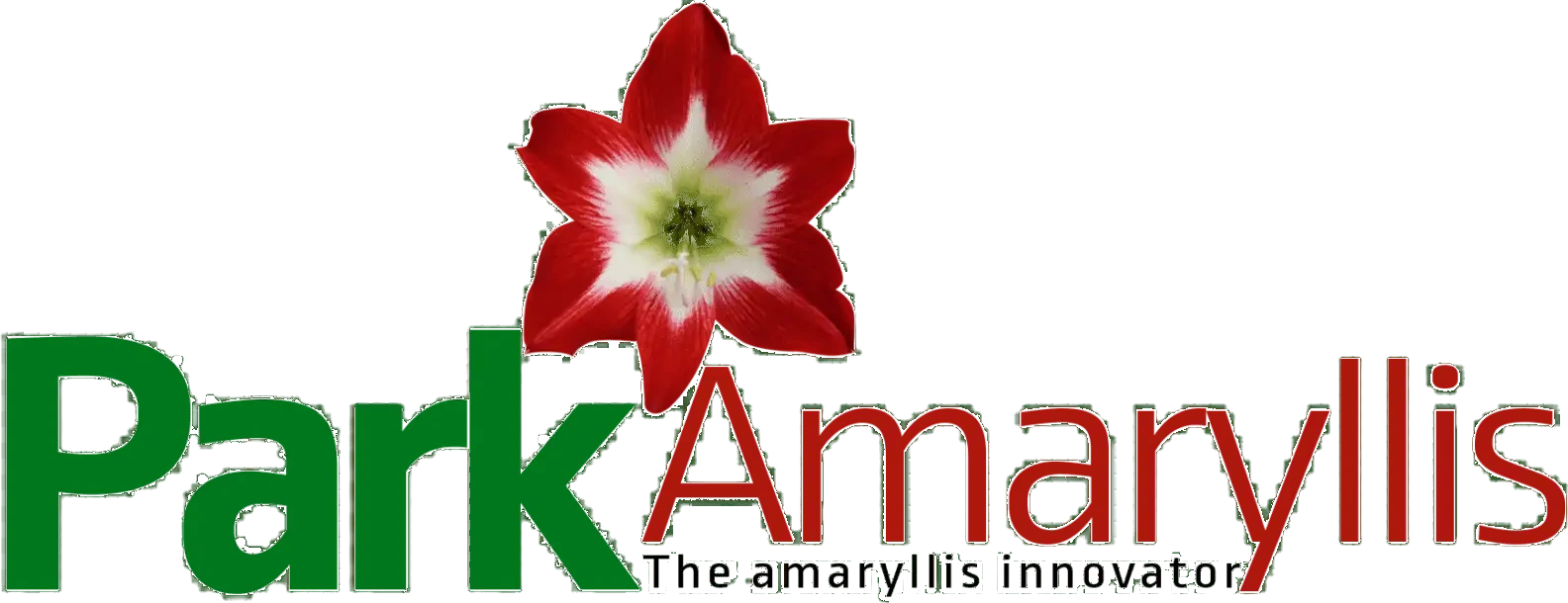 Park Amaryllis — The amaryllis innovator