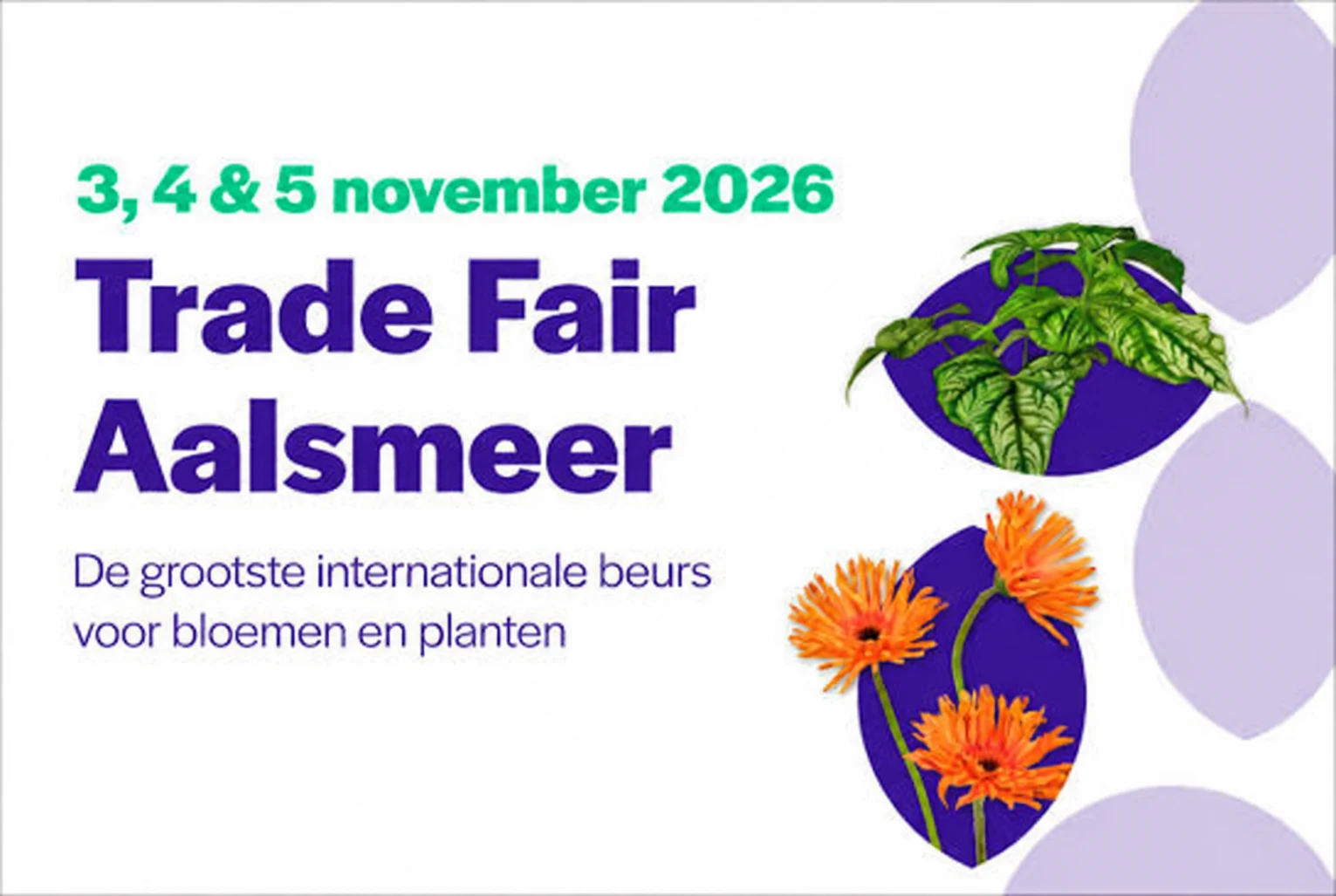 Park Amaryllis auf der Trade Fair Aalsmeer 2026